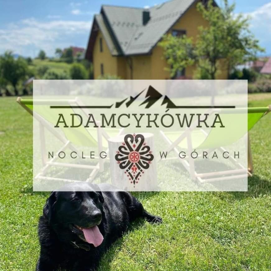 Farm stay Apartamenty Adamcykowka Blisko Velo Czorsztyn! Kluszkowce