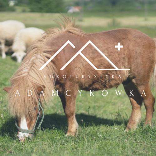 Farm stay Apartamenty Adamcykowka Blisko Velo Czorsztyn! Kluszkowce