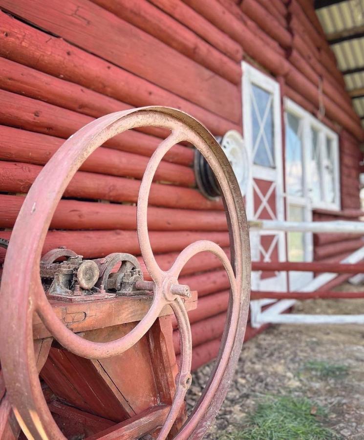 Apartamenty Adamcykowka Blisko Velo Czorsztyn! *