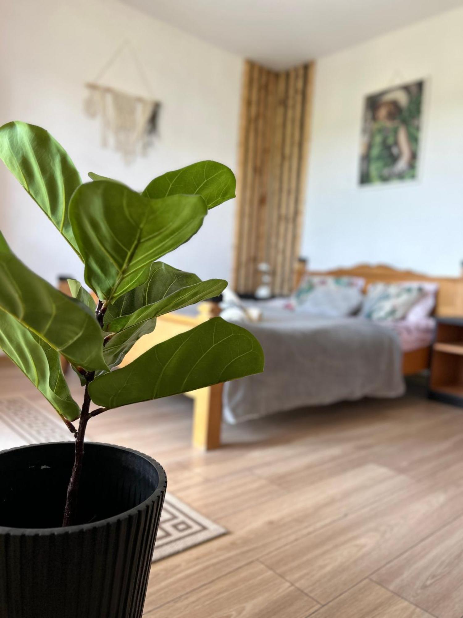 Farm stay Apartamenty Adamcykowka Blisko Velo Czorsztyn! *