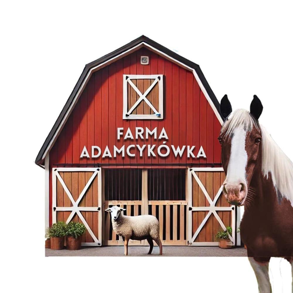 Apartamenty Adamcykowka Blisko Velo Czorsztyn! Farm stay Kluszkowce